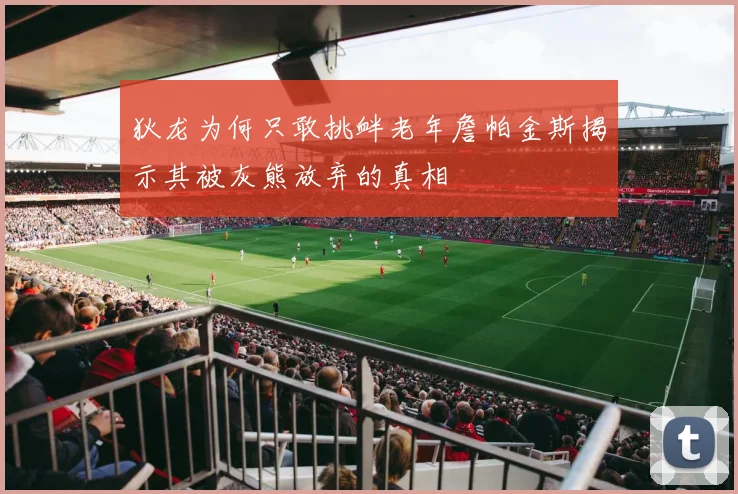 狄龙为何只敢挑衅老年詹帕金斯揭示其被灰熊放弃的真相