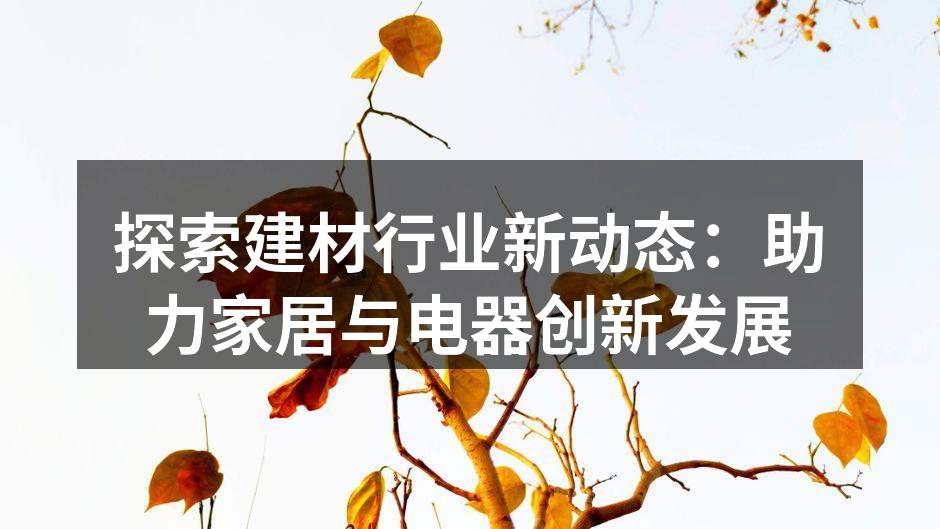 探索建材行业新动态：助力家居与电器创新发展